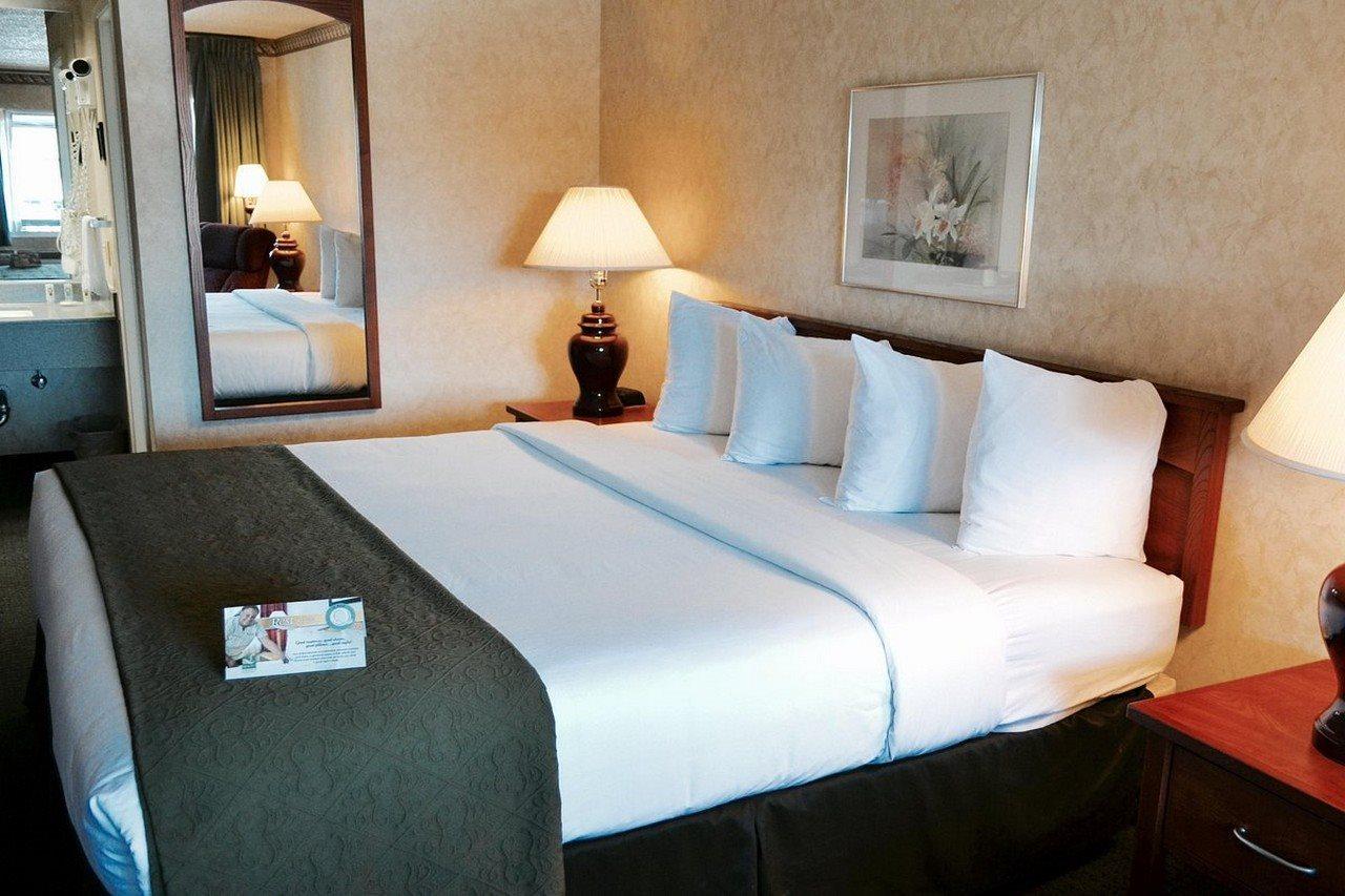 Quality Inn & Suites Silicon Valley Santa Clara Zewnętrze zdjęcie
